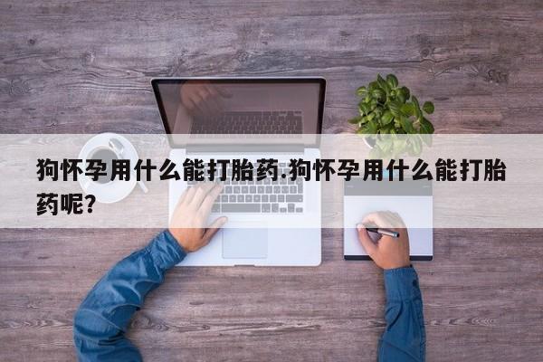网上流产药专卖微信,狗怀孕用什么能打胎药.狗怀孕用什么能打胎药呢？