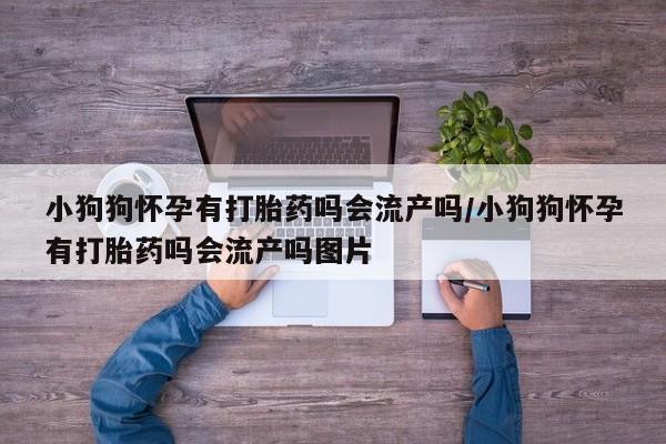 网上流产药专卖微信,小狗狗怀孕有打胎药吗会流产吗/小狗狗怀孕有打胎药吗会流产吗图片