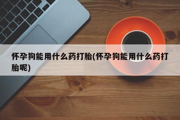 网上流产药专卖微信,怀孕狗能用什么药打胎(怀孕狗能用什么药打胎呢)